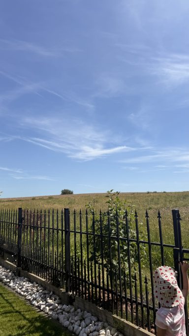 Feldaussicht